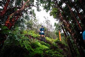 BIB: 
                            <button type="button" onclick="openModal(26202046)" class="btn btn-primary btn-sm float-right btn-popup" data-toggle="modal" data-target=".modal-high-quality">
                        <i class="fas fa-shopping-cart"></i> Add to Cart
                    </button>
                                            <button type="button" onclick="isThisMe(26202046, true)" class="btn btn-success btn-sm float-right btn-popup btn-isme hidden" data-toggle="tooltip" data-placement="bottom" title="นี่คือรูปของคุณใช่ไหม คลิกที่นี่เพื่อเอาเข้าอัลบั้ม">
                        <i class="fas fa-plus"></i> Add to album
                    </button>
                    <button type="button" onclick="isThisMe(26202046, false)" class="btn btn-warning btn-sm float-right btn-popup btn-isnotme hidden">
                        <i class="fas fa-ban"></i> Remove from album
                    </button>